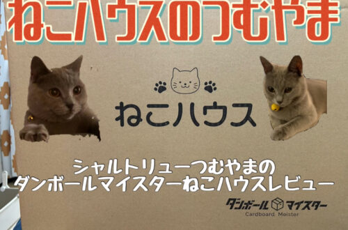 ダンボールマイスター「ねこハウス」レビュー