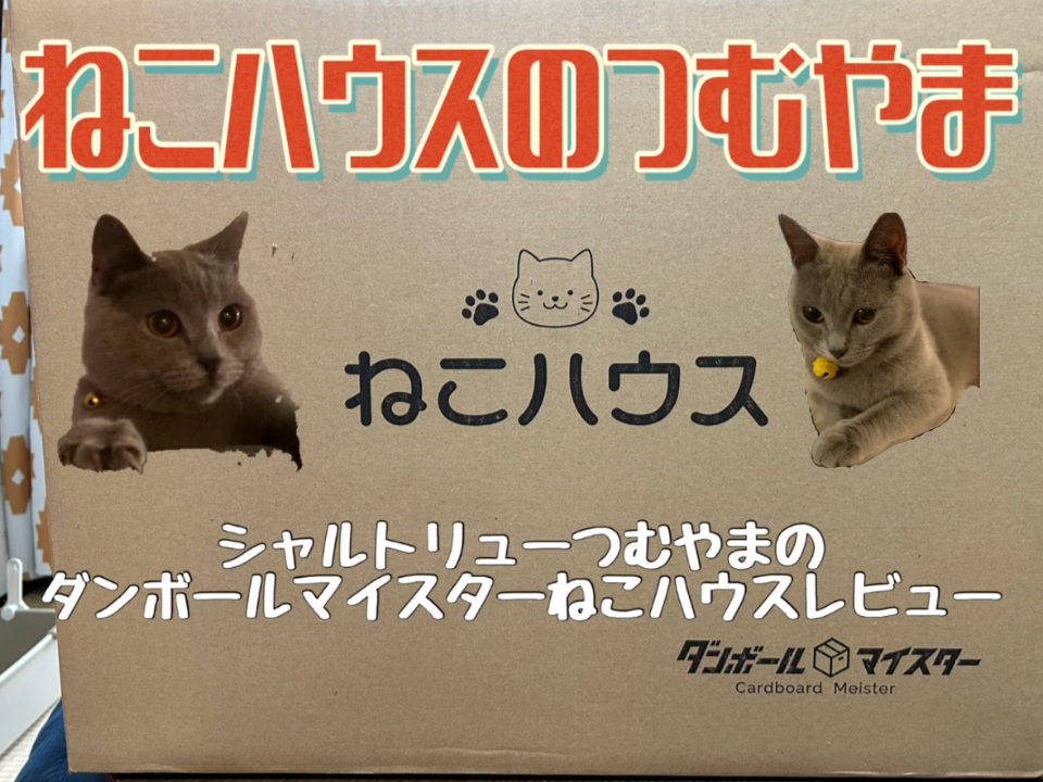 ダンボールマイスター「ねこハウス」レビュー